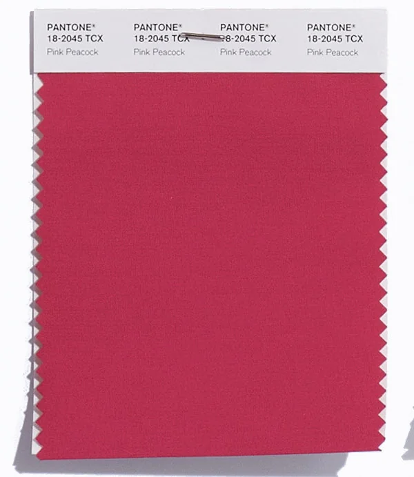Pink Peacock