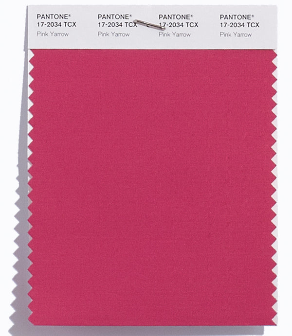 Pink Yarrow