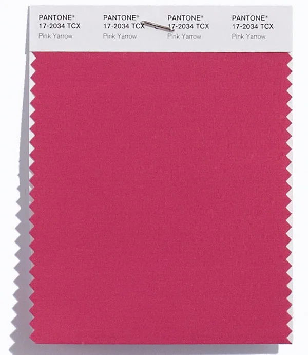 Pink Yarrow