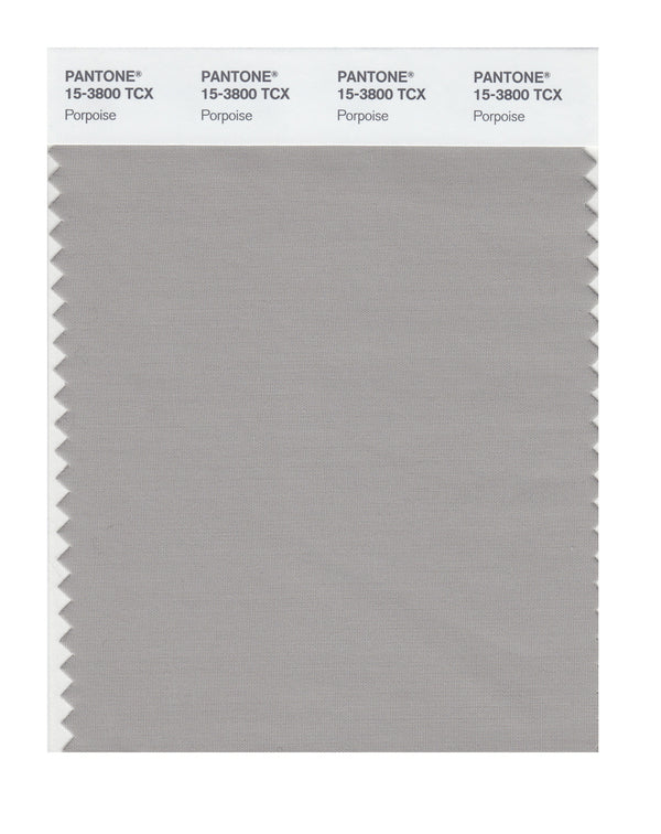 Porpoise