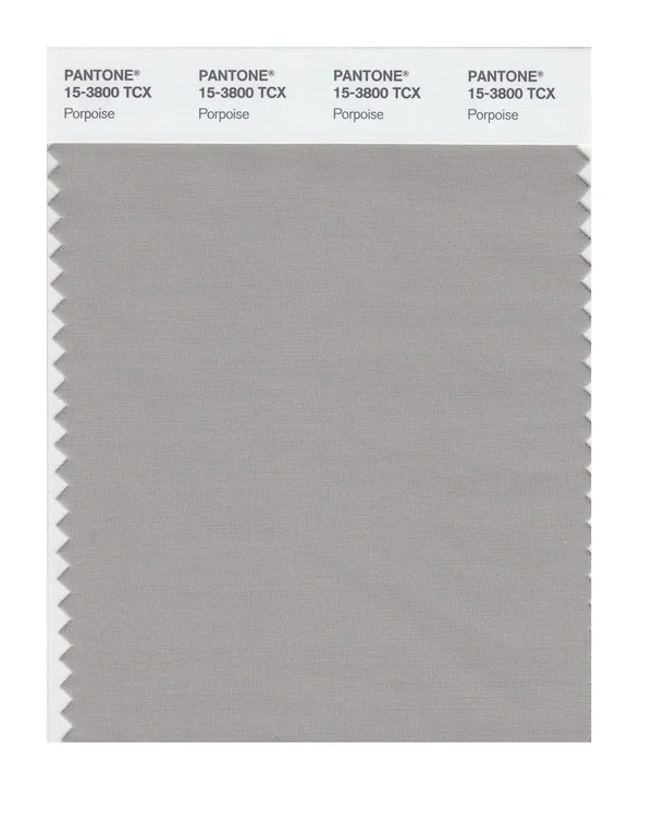 Porpoise