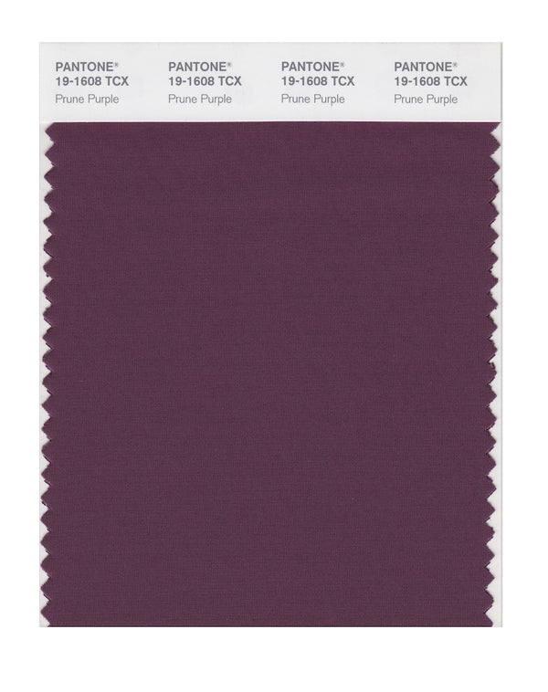 Prune Purple