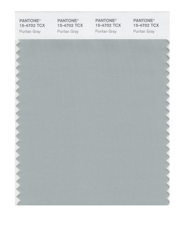Puritan Gray