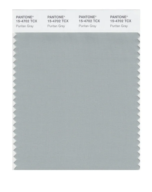 Puritan Gray