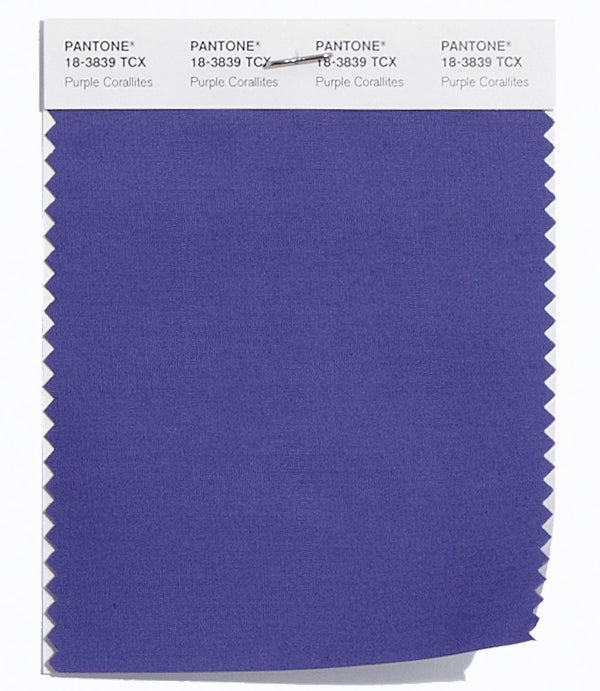 Purple Corallite