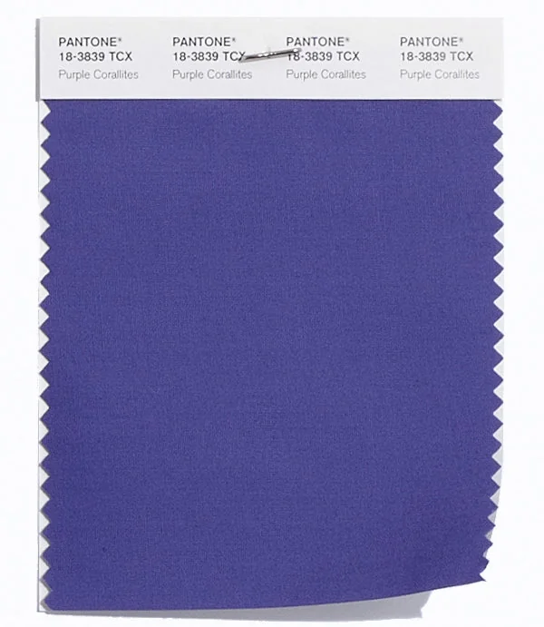 Purple Corallite