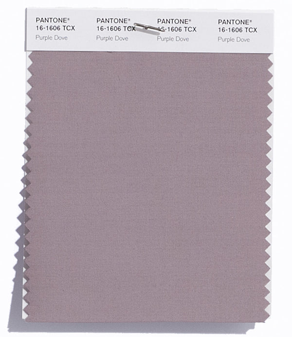 Purple Dove