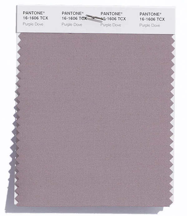 Purple Dove