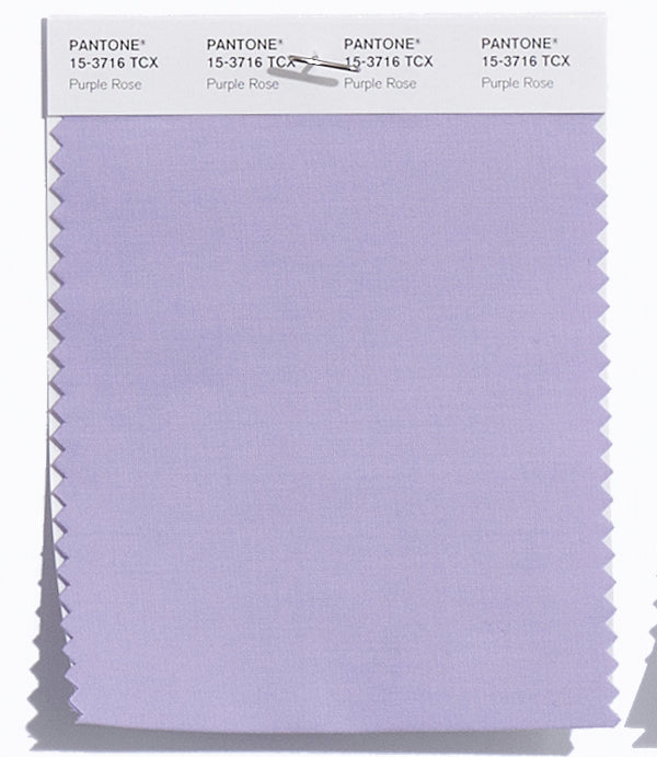 Purple Rose