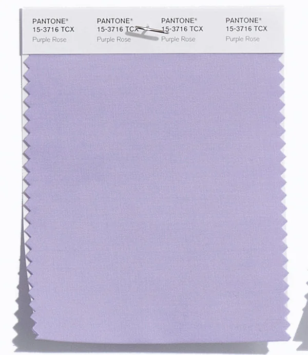 Purple Rose