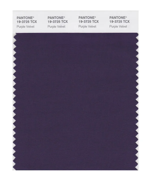 Purple Velvet