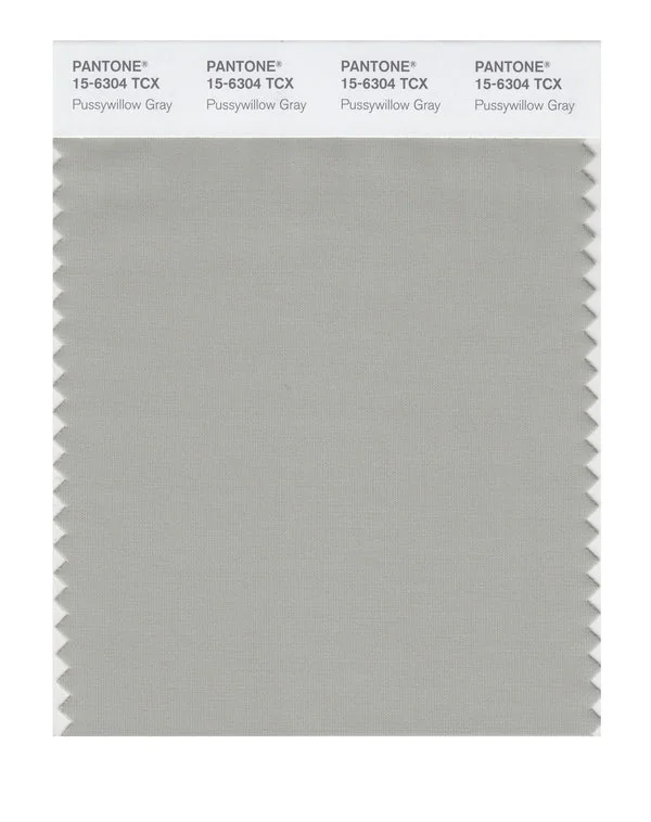 Pussywillow Gray