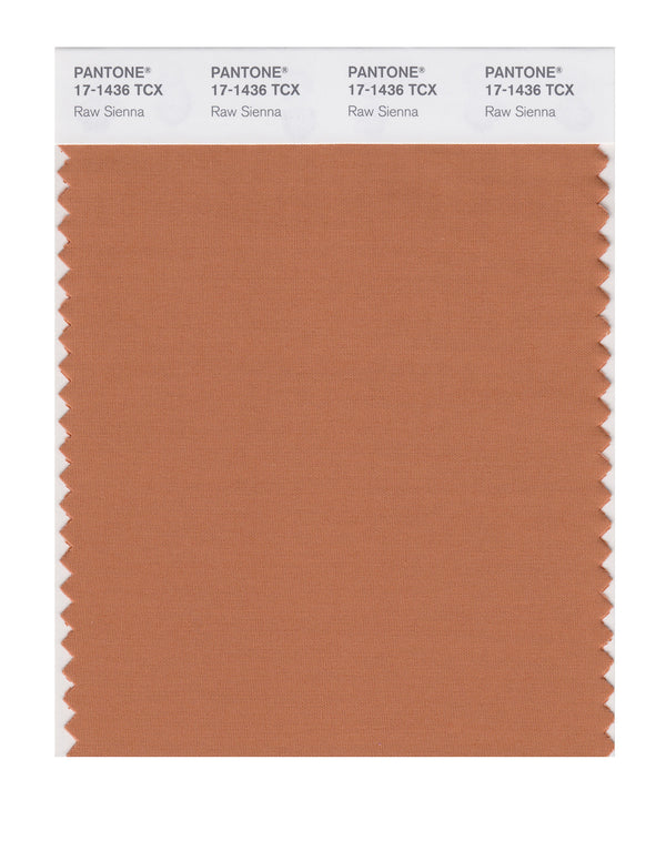 Raw Sienna