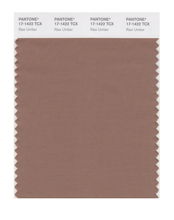 Raw Umber