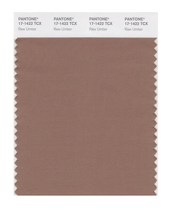 Raw Umber