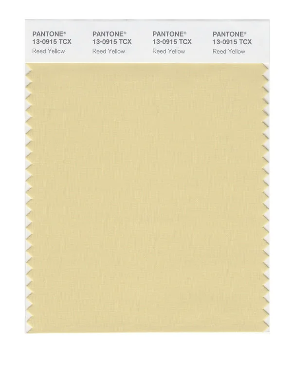 Reed Yellow