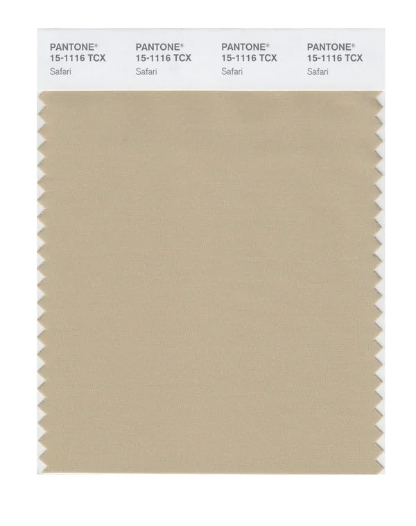 Safari