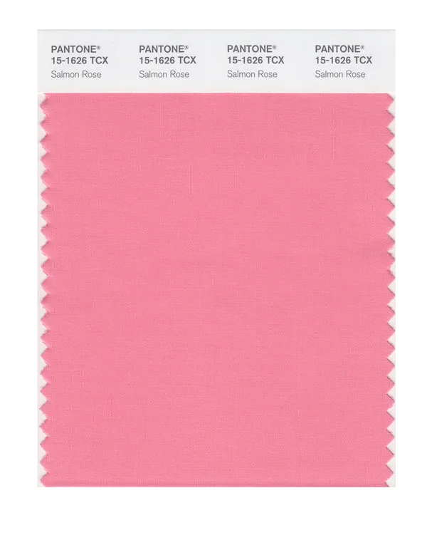Salmon Rose