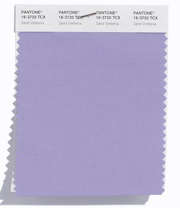 Sand Verbena