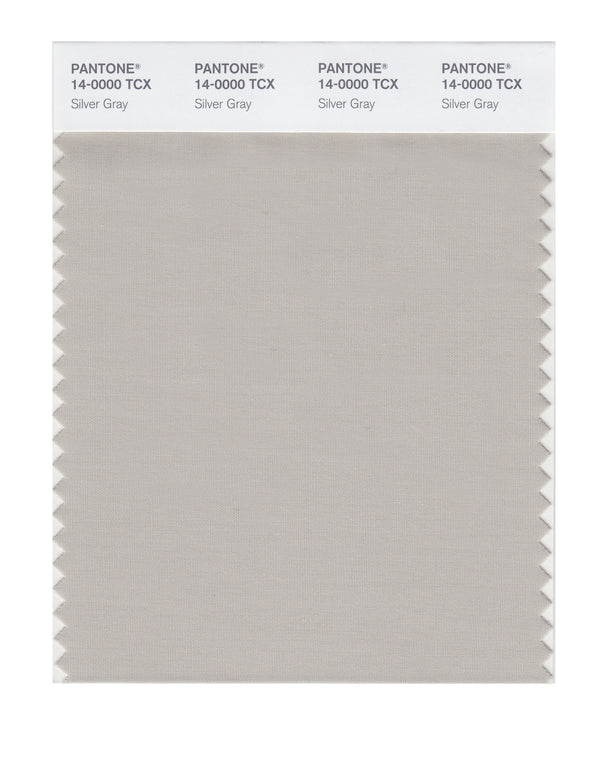 Silver Gray