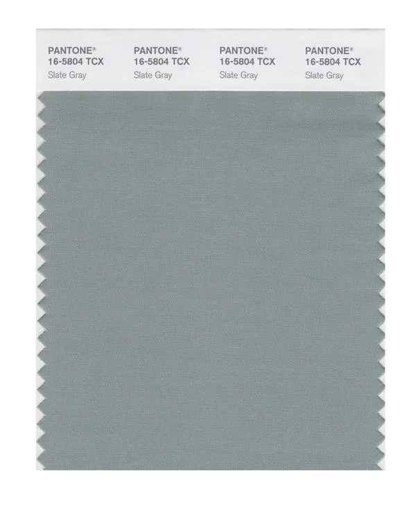 Slate Gray