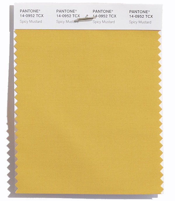 Spicy Mustard