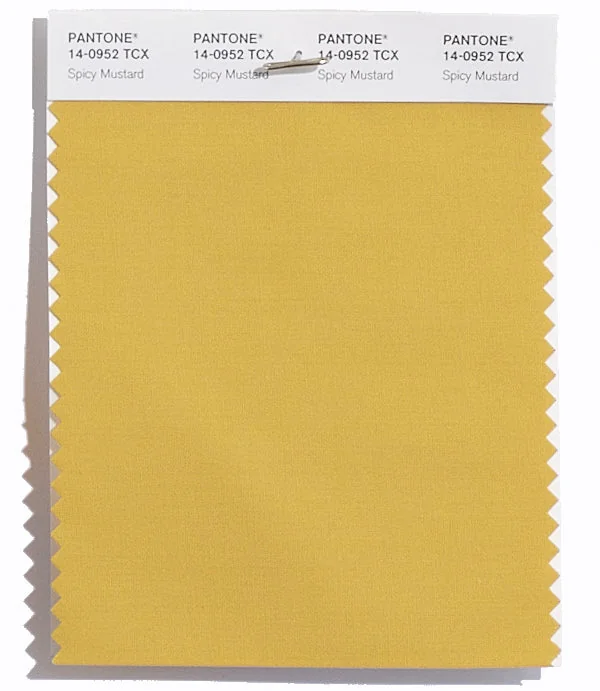 Spicy Mustard