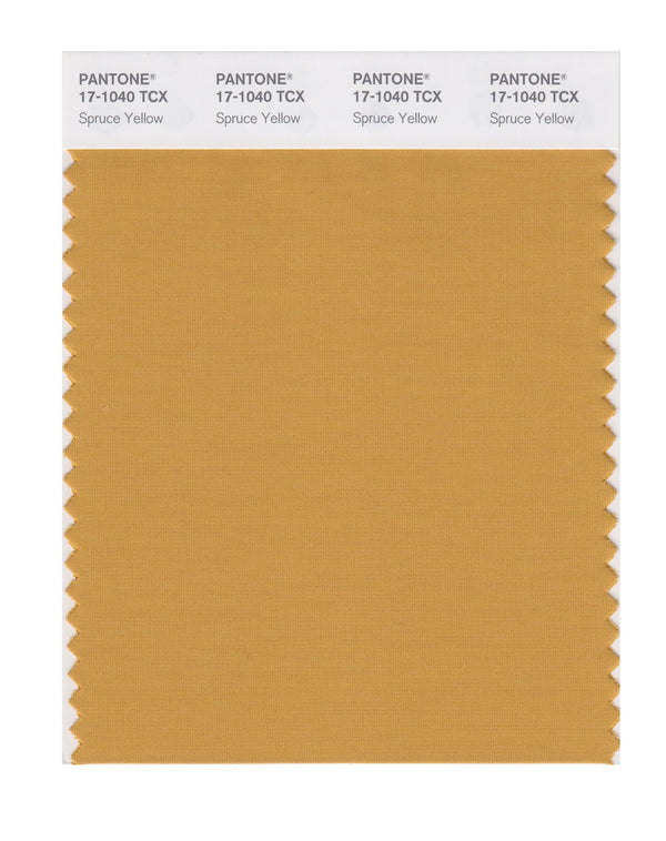 Spruce Yellow