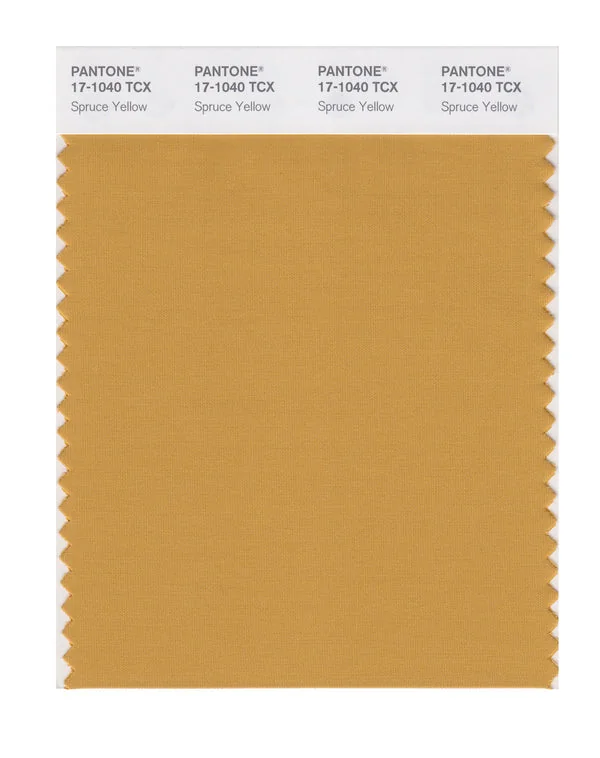 Spruce Yellow