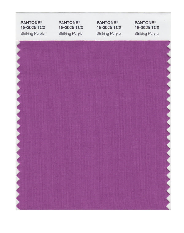 Striking Purple