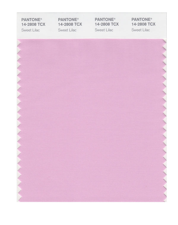 Sweet Lilac