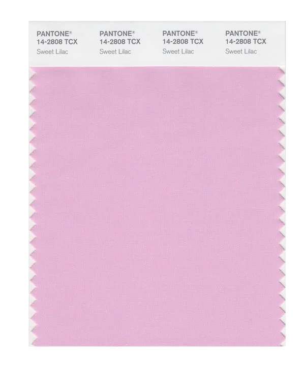 Sweet Lilac