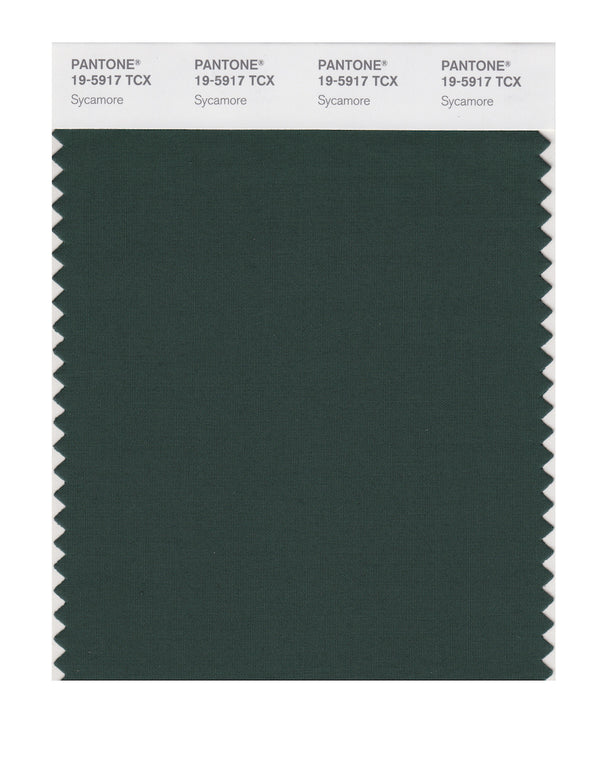Sycamore