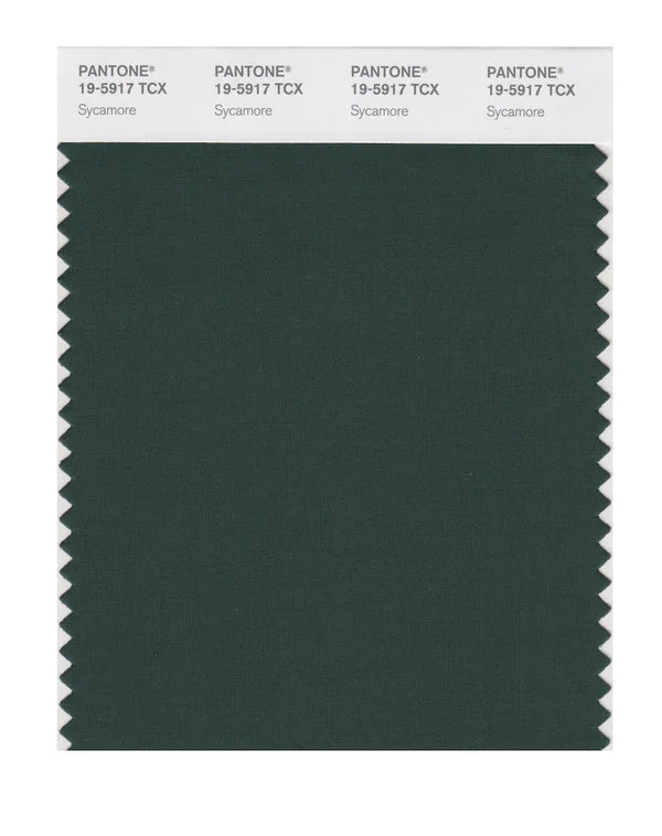 Sycamore
