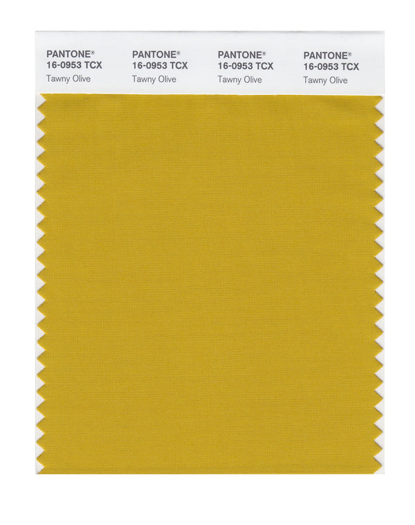 Tawny Olive