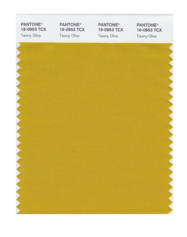 Tawny Olive