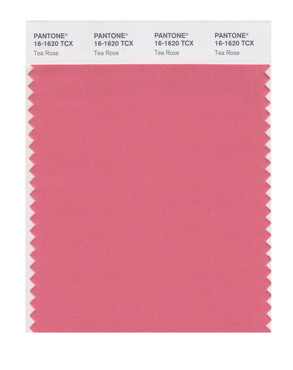 Tea Rose