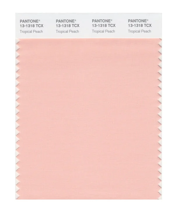 Tropical Peach
