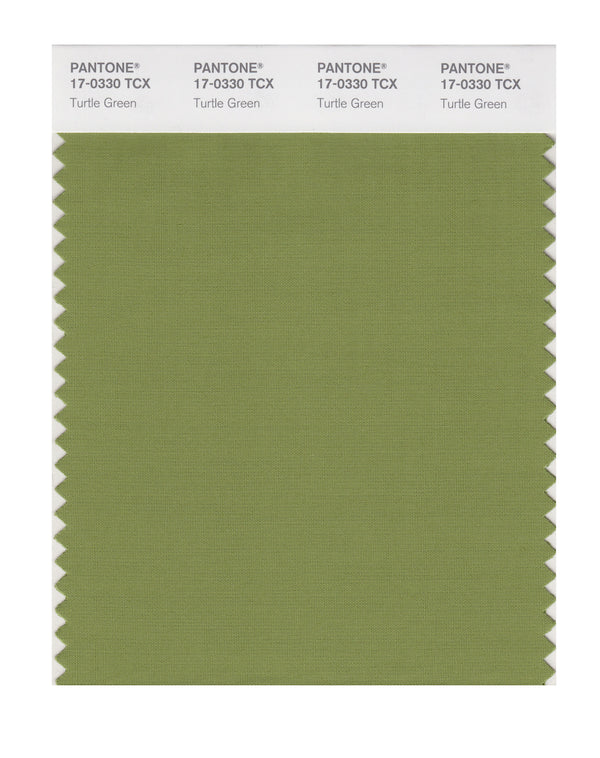 Turtle Green