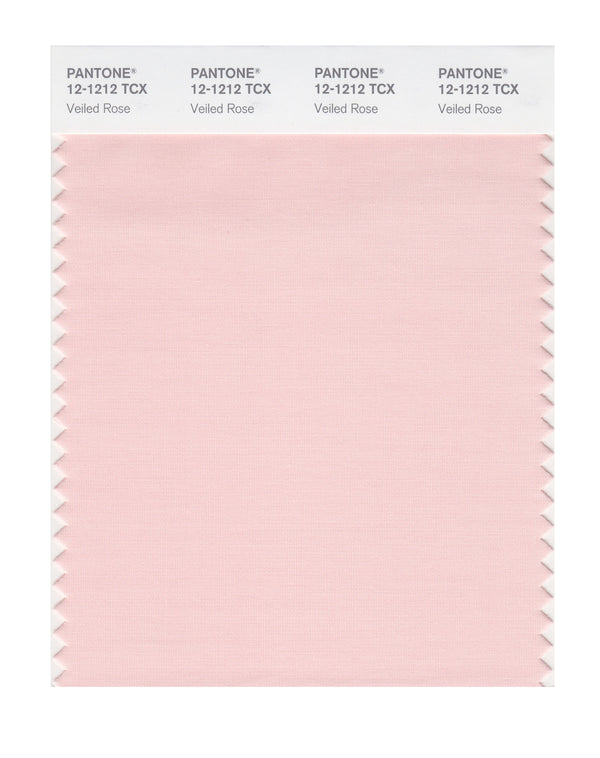 Veiled Rose