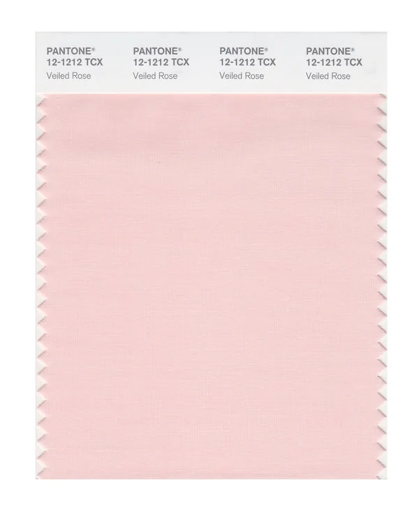 Veiled Rose