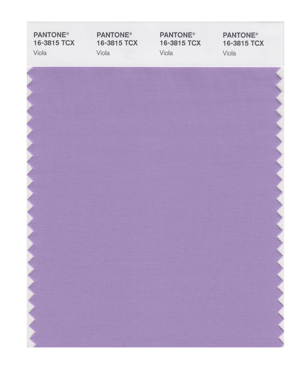 Viola