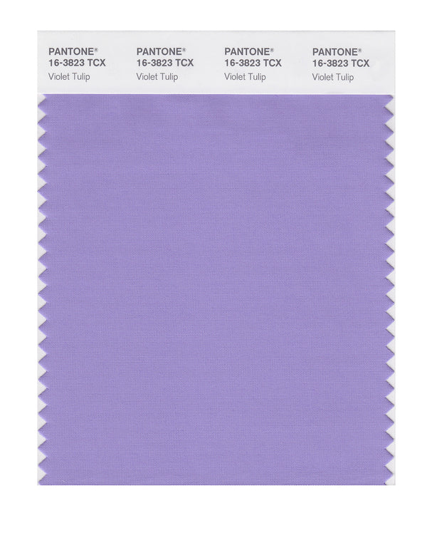 Violet Tulip