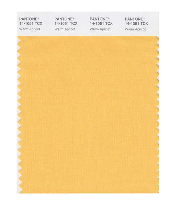 Warm Apricot