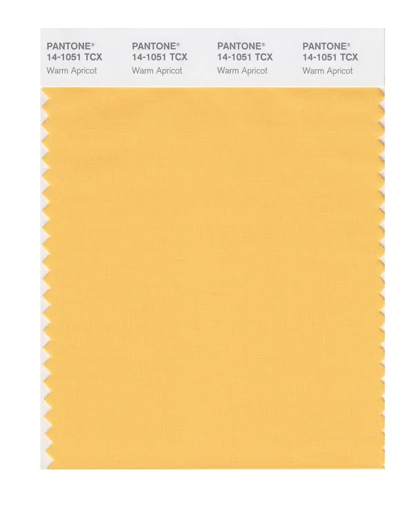 Warm Apricot