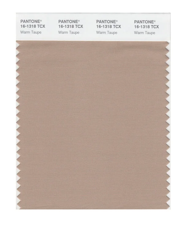 Warm Taupe