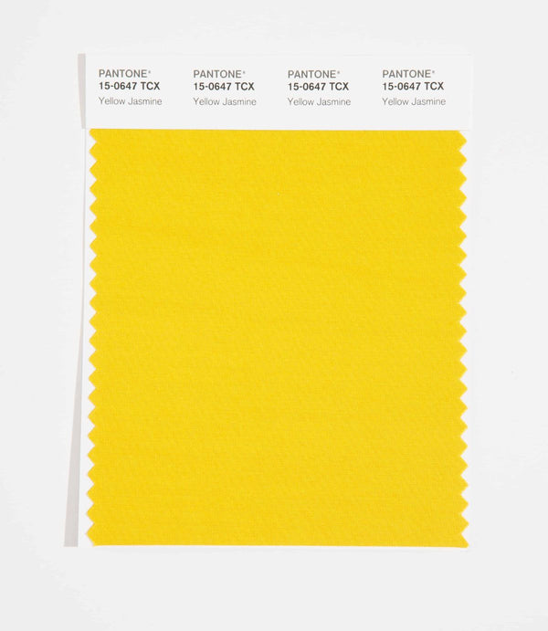 Yellow Jasmine