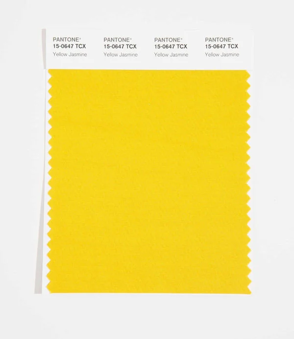 Yellow Jasmine